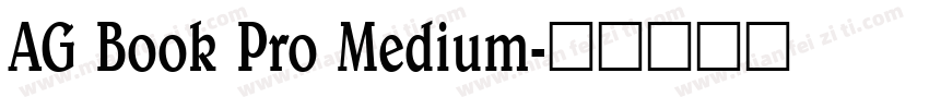AG Book Pro Medium字体转换